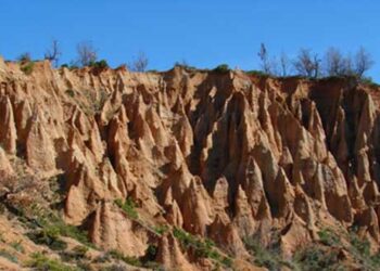 «Μπουχάρια και νοχτάρια», ένα φυσικό Μουσείο δίπλα μας! – Γράφει η Αγγελική Ρεϊζοπούλου