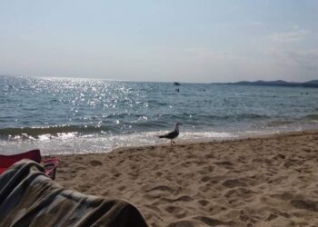 “ΑΝΑΣΕΣ ΔΡΟΣΙΑΣ” από την όμορφη Νικήτη , Σιθωνίας Χαλκιδικής! (της Κούλας Πουλασιχίδου)