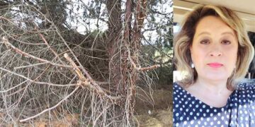 Αθηνά Τερζοπούλου: «Άσχημη έως καταστροφική εικόνα παρουσιάζει η δενδροστοιχία στο δρόμο προς και από το Μποδοσάκειο»