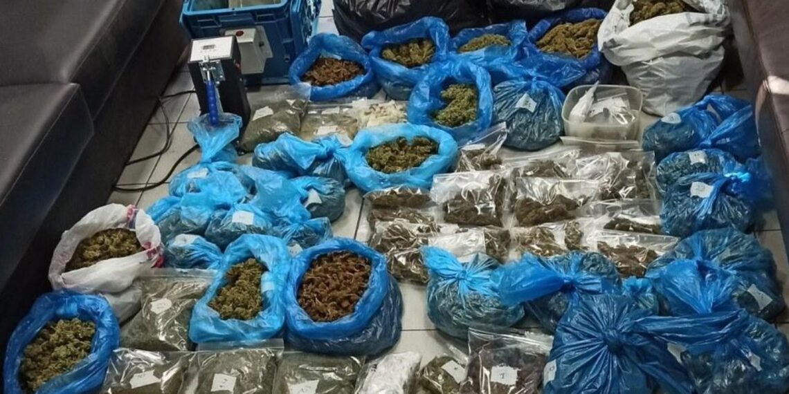 Θεσσαλονίκη: Έκλεβε ρεύμα για να καλλιεργεί ….δάσος κάνναβης σε δύο διαμερίσματα