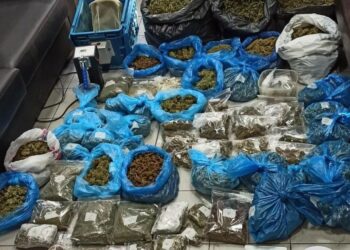 Θεσσαλονίκη: Έκλεβε ρεύμα για να καλλιεργεί ….δάσος κάνναβης σε δύο διαμερίσματα