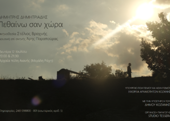 Σήμερα Δευτέρα 12 Ιουλίου στην αρχαία πόλη της Αιανής η αναβληθείσα θεατρική παράσταση «Πεθαίνω σαν Χώρα»