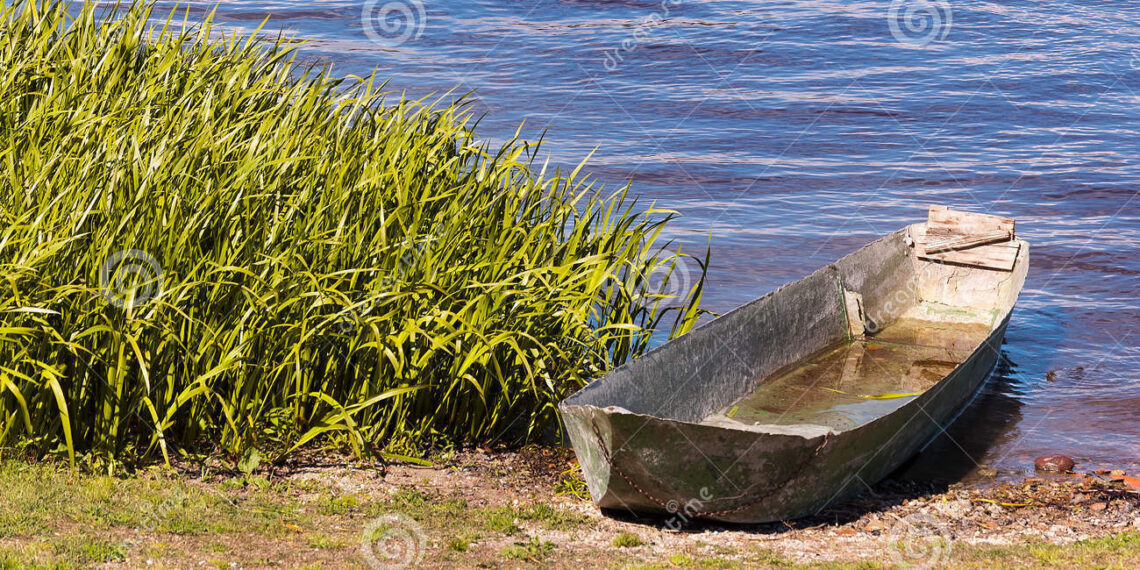 Απίστευτο περιστατικό στη λίμνη Πολυφύτου – Ανήλικοι χτύπησαν ψαρά και του πήραν τη βάρκα – Τους παρέσυρε ρεύμα και έπεσαν στα νερά να σωθούν – Άφησαν στη βάρκα δυο κορίτσια που τα έβγαλε άλλος ψαράς!