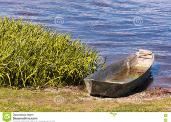 Απίστευτο περιστατικό στη λίμνη Πολυφύτου – Ανήλικοι χτύπησαν ψαρά και του πήραν τη βάρκα – Τους παρέσυρε ρεύμα και έπεσαν στα νερά να σωθούν – Άφησαν στη βάρκα δυο κορίτσια που τα έβγαλε άλλος ψαράς!