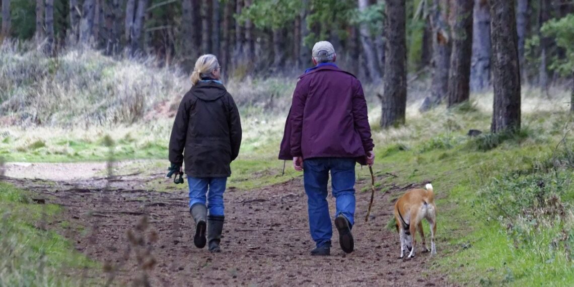 Οι θεραπευτικές ιδιότητες των ζώων για την τρίτη ηλικία