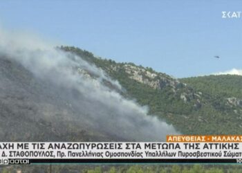 Πρόεδρος Πυροσβεστών: Κάποιοι παίζουν, 50 φάρσες για πυρκαγιές στην Αττική