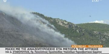Πρόεδρος Πυροσβεστών: Κάποιοι παίζουν, 50 φάρσες για πυρκαγιές στην Αττική