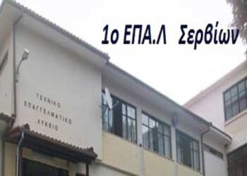 Οι σχολές επιτυχίας των μαθητών του ΕΠΑΛ Σερβίων