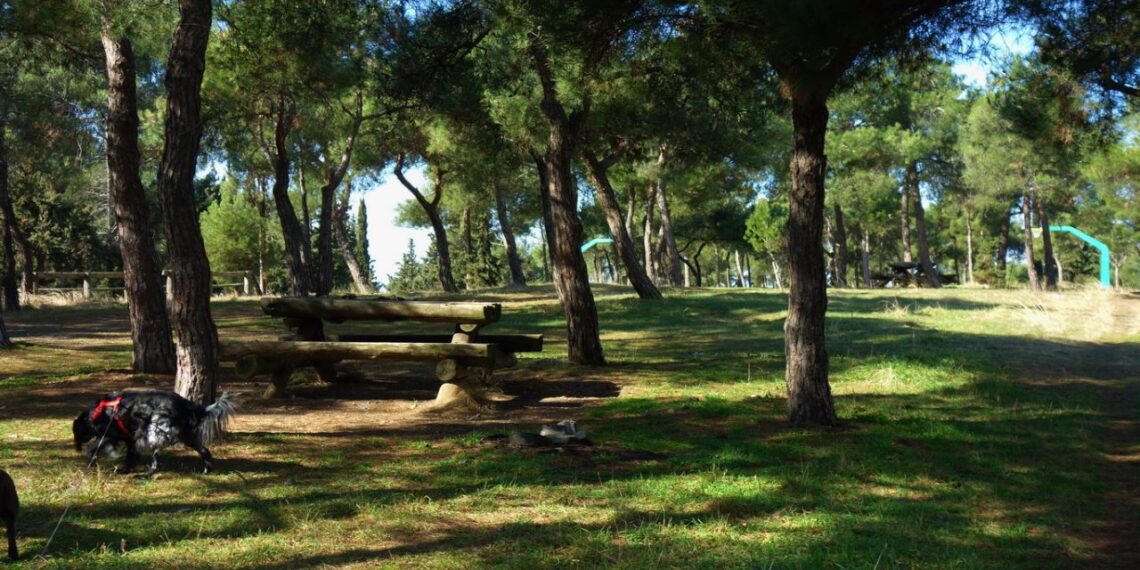 Θεσσαλονίκη: Αυτόματα θα ενεργοποιείται η απαγόρευση κυκλοφορίας στο Σέιχ Σου σε περίπτωση υψηλού κινδύνου πυρκαγιάς