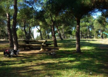 Θεσσαλονίκη: Αυτόματα θα ενεργοποιείται η απαγόρευση κυκλοφορίας στο Σέιχ Σου σε περίπτωση υψηλού κινδύνου πυρκαγιάς