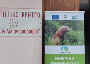 Οι εκτροφές γουνοφόρων στο επίκεντρο ενημερωτικής συνάντησης της Ελληνικής Ομοσπονδίας Γούνας