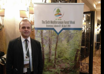 Ο Κοζανίτης Δασολόγος Δ. Τσίμπλινας μιλά στο «Κ» της «ΚΑΘΗΜΕΡΙΝΗΣ» για τα πεύκα και την πολιτική των αναδασώσεων