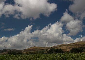 Ελληνική Εταιρεία Αιολικής Ενέργειας με αφορμή τις πυρκαγιές: Η καταστροφή μιας δασικής έκτασης όχι μόνο δεν διευκολύνει αλλά αντιθέτως αυξάνει τις προϋποθέσεις για την υλοποίηση μιας επένδυσης αιολικού πάρκου