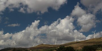 Ελληνική Εταιρεία Αιολικής Ενέργειας με αφορμή τις πυρκαγιές: Η καταστροφή μιας δασικής έκτασης όχι μόνο δεν διευκολύνει αλλά αντιθέτως αυξάνει τις προϋποθέσεις για την υλοποίηση μιας επένδυσης αιολικού πάρκου