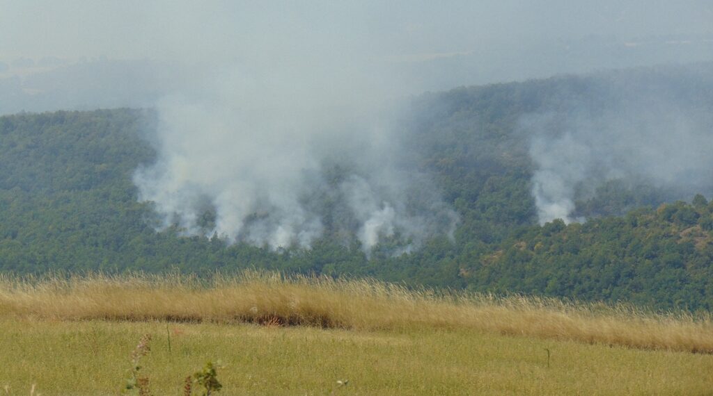 Μαίνεται η πυρκαγιά στο Καρπερό του Δήμου Δεσκάτης, κοντά στα όρια με τον Δήμο Γρεβενών -video