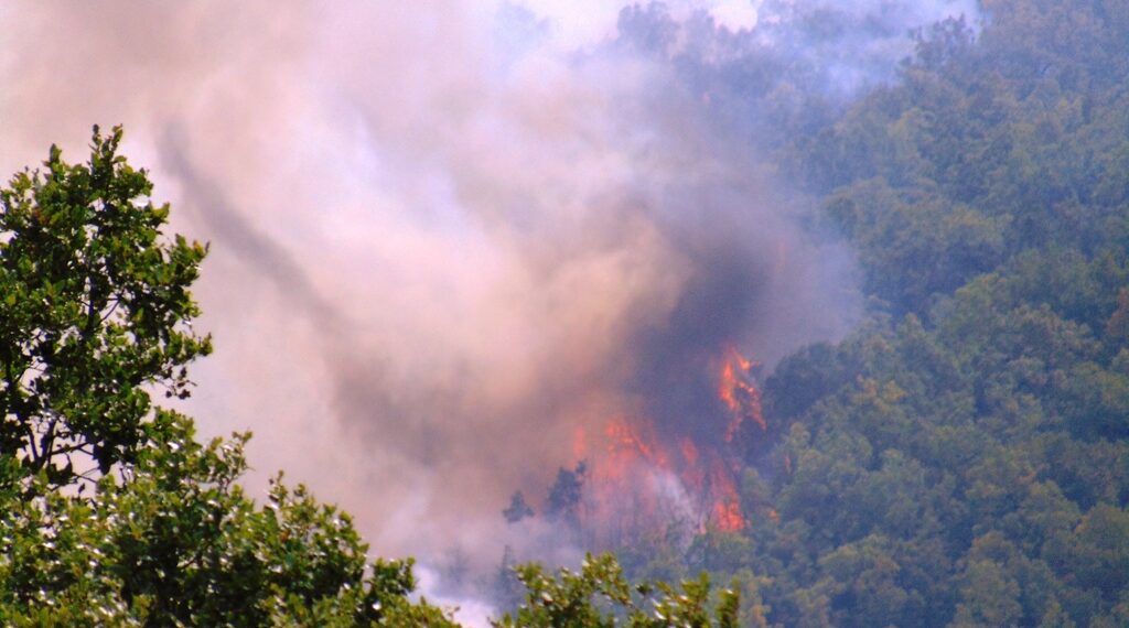 Δήμος Αμυνταίου: Συγκέντρωση βοήθειας για τις πυρόπληκτες περιοχές