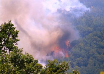 Δήμος Αμυνταίου: Συγκέντρωση βοήθειας για τις πυρόπληκτες περιοχές