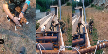 Δήμος Φλώρινας: Απεγκλωβισμός δύο σκυλιών στο φράγμα Τριανταφυλλιάς