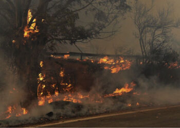 Αχαΐα: Ολονύχτια μάχη με την πύρινη λαίλαπα στη Ζήρια – Υπό έλεγχο το μέτωπο στο Λόγγο, επιστρέφουν οι κάτοικοι