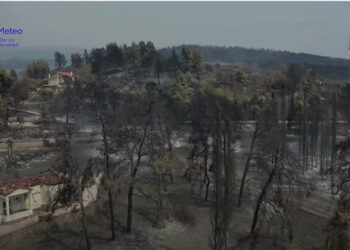 Βιβλική καταστροφή στην Εύβοια -Βίντεο από drone δείχνει την καταστροφή -Δάση, σπίτια, περιουσίες στάχτη