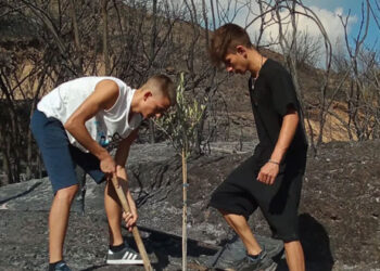 Το πρώτο δέντρο στα καμένα -Η viral φωτογραφία με τους δύο 15χρονους στην Αρχαία Ολυμπία