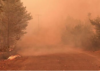 Φωτιά στην Εύβοια: Μέσα στις Γούβες οι φλόγες, απειλείται η Γαλατσώνα – Εγκαταλείπουν οι κάτοικοι το Πευκί