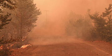 Φωτιά στην Εύβοια: Μέσα στις Γούβες οι φλόγες, απειλείται η Γαλατσώνα – Εγκαταλείπουν οι κάτοικοι το Πευκί