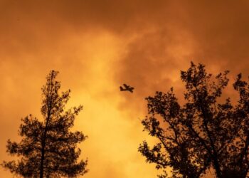 Φωτιές – Παραιτήθηκε ο διοικητής της Αεροπορίας Στρατού