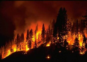Λήψη Επιπλέον Μέτρων προς Αποφυγή Εκδήλωσης και Εξάπλωσης Πυρκαγιών στην  Π.Ε. Καστοριάς – Συνεργασία Πολιτών