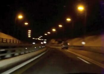 Τροχαίο με… αγελάδα στην Εγνατία Οδό – Συνελήφθη ο ιδιοκτήτης του ζώου