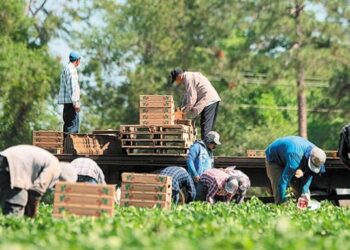 Πιέσεις για την παράταση παραμονής των εργατών γης στη Δυτική Μακεδονία- Αισιοδόξια για επίλυση του ζητήματος τις επόμενες ώρες