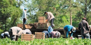 Πιέσεις για την παράταση παραμονής των εργατών γης στη Δυτική Μακεδονία- Αισιοδόξια για επίλυση του ζητήματος τις επόμενες ώρες
