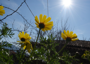 “Ψυχρούλα” το πρωινό της τελευταίας μέρας του Αυγούστου- 5,6 στην Βλάστη, 7,8 στο Νέο Καύκασο, 8,2 στην Πτολεμαΐδα