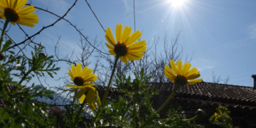 “Ψυχρούλα” το πρωινό της τελευταίας μέρας του Αυγούστου- 5,6 στην Βλάστη, 7,8 στο Νέο Καύκασο, 8,2 στην Πτολεμαΐδα