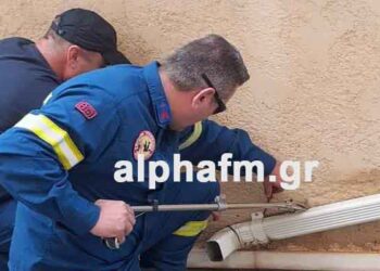 Καστοριά: Οχιά σε σπίτι στην Χλόη