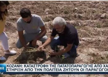 Καταστροφή της παραγωγής πατάτας στη Ζωοδόχο Πηγή Κοζάνης -VIDEO από το ρεπορτάζ της ΕΡΤ