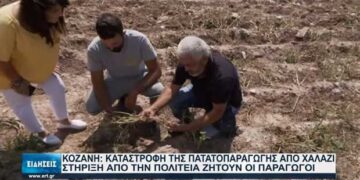 Καταστροφή της παραγωγής πατάτας στη Ζωοδόχο Πηγή Κοζάνης -VIDEO από το ρεπορτάζ της ΕΡΤ