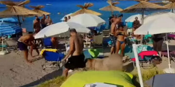 Χαλκιδική: Τράγος “κόβει”… βόλτες σε beach bar (video)