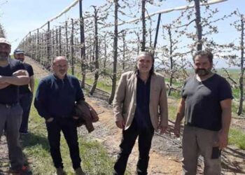 Στο πλευρά των αγροτών της ΔΕ Βερμίου, οι οποίοι εξαιρέθηκαν των αποζημιώσεων του ΕΛΓΑ από τον παγετό του περασμένου Απριλίου, ο Δήμος Εορδαίας