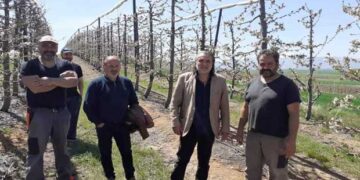 Στο πλευρά των αγροτών της ΔΕ Βερμίου, οι οποίοι εξαιρέθηκαν των αποζημιώσεων του ΕΛΓΑ από τον παγετό του περασμένου Απριλίου, ο Δήμος Εορδαίας