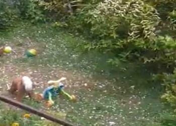 Χαλαζόπτωση στη Ροδιανή Κοζάνης -VIDEO