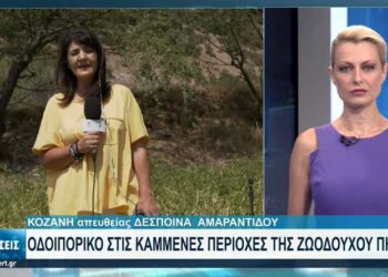 Καταγράφονται οι ζημίες των παραγωγών από τις φωτιές στην Κοζάνη – Δείτε το ρεπορτάζ της ΕΡΤ