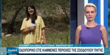 Καταγράφονται οι ζημίες των παραγωγών από τις φωτιές στην Κοζάνη – Δείτε το ρεπορτάζ της ΕΡΤ