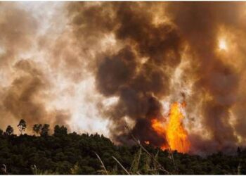 Ο Δήμος Κοζάνης κοντά στους πυρόπληκτους – Συγκέντρωση ειδών πρώτης ανάγκης