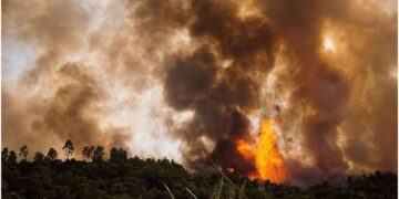 Ο Δήμος Κοζάνης κοντά στους πυρόπληκτους – Συγκέντρωση ειδών πρώτης ανάγκης