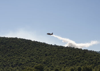 Γρεβενά: Οι αφανείς ήρωες των πυρκαγιών (video)