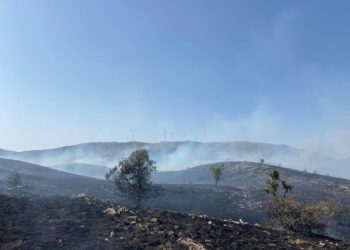Σκληρή μάχη με τις φλόγες στο μέτωπο της Ζωδόχου Πηγής- Φωτογραφίες
