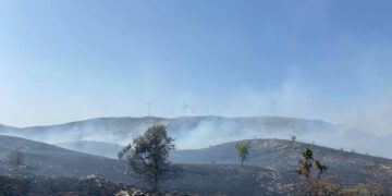 Σκληρή μάχη με τις φλόγες στο μέτωπο της Ζωδόχου Πηγής- Φωτογραφίες