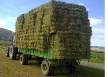 Ανάπτυξη κοινωνικής δράσης  «Ζωοτροφές για το χειμώνα στα καμένα της Εύβοιας  – Αρκαδίας – Ηλείας» από Φιλοπρόοδο, Επιμελητήριο και Κτηνοτρόφους Π.Ε. Κοζάνης