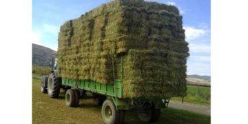 Ανάπτυξη κοινωνικής δράσης  «Ζωοτροφές για το χειμώνα στα καμένα της Εύβοιας  – Αρκαδίας – Ηλείας» από Φιλοπρόοδο, Επιμελητήριο και Κτηνοτρόφους Π.Ε. Κοζάνης